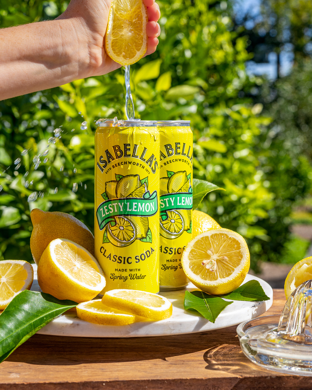 Isabella's Zesty Lemon Classic Soda | Last St Australian Craft Sodas